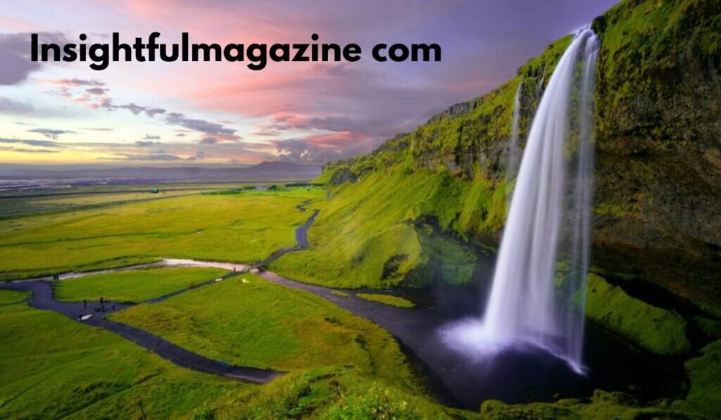 Insightfulmagazine com